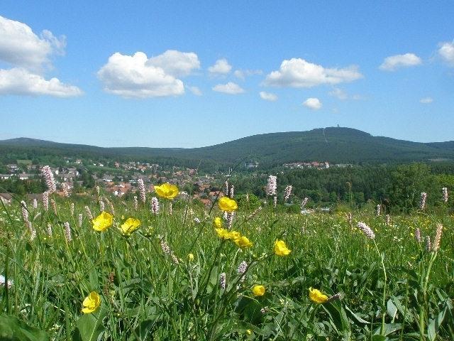 Harzpension Haus Koenigskopf Браунлаге Екстер'єр фото